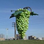 آداب و رسوم مردم تاکستان پایتخت انگور ایران